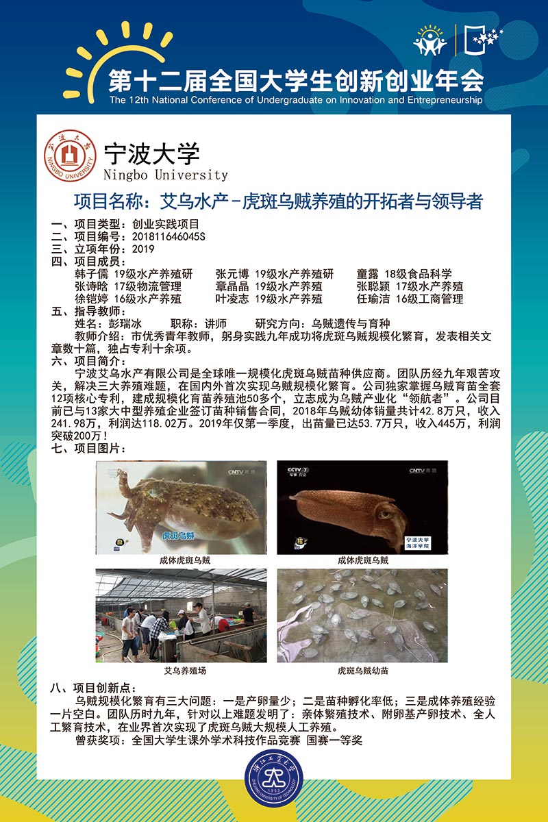 艾乌水产——虎斑乌贼养殖技术的开拓者与领导者